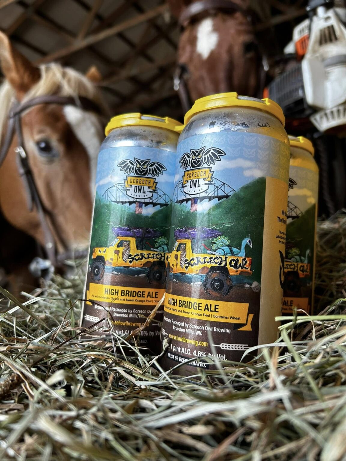 468862260 1114975327296432 1876300301878559846 n 1152x1536