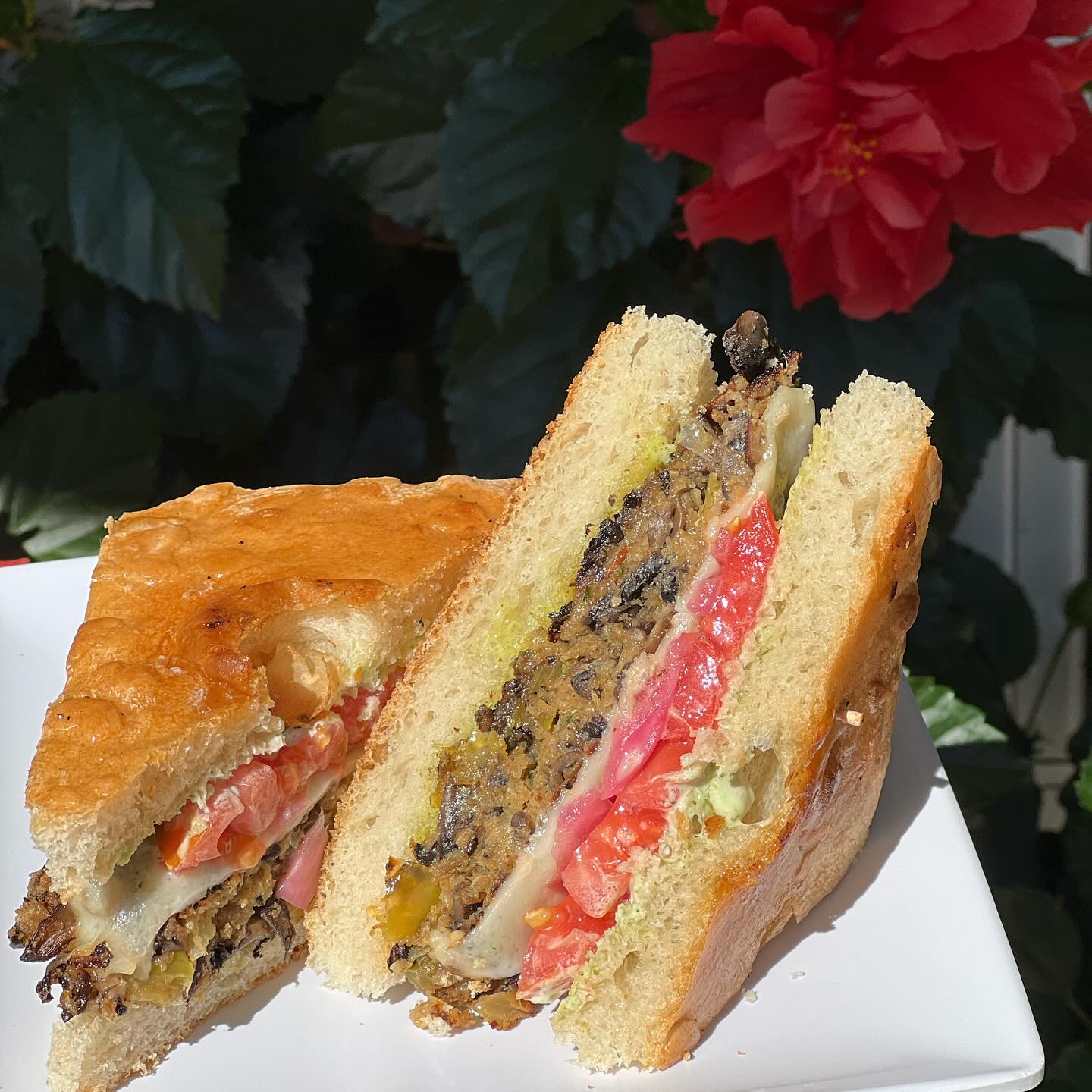 469591164 18030148397605151 6833953454296986585 n