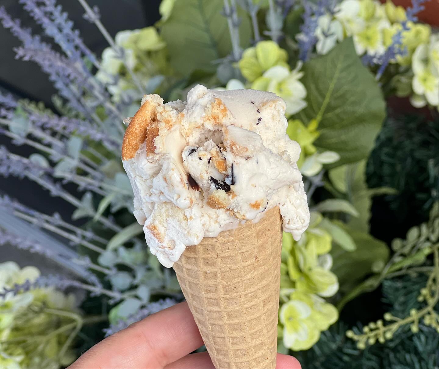 469792425 18030145532605151 2374834128647908288 n