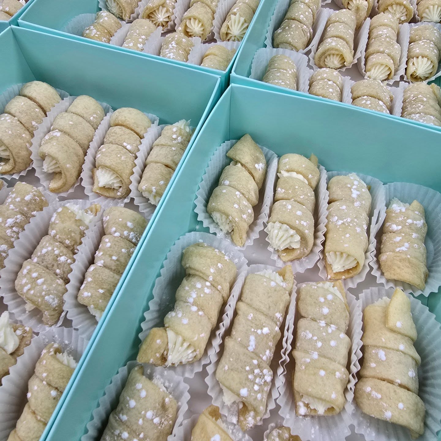 470135298 1169507647970887 7344445459223052900 n