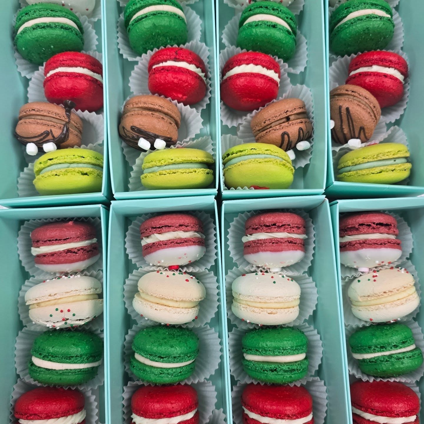 470603325 1169507661304219 850992886661930670 n 1