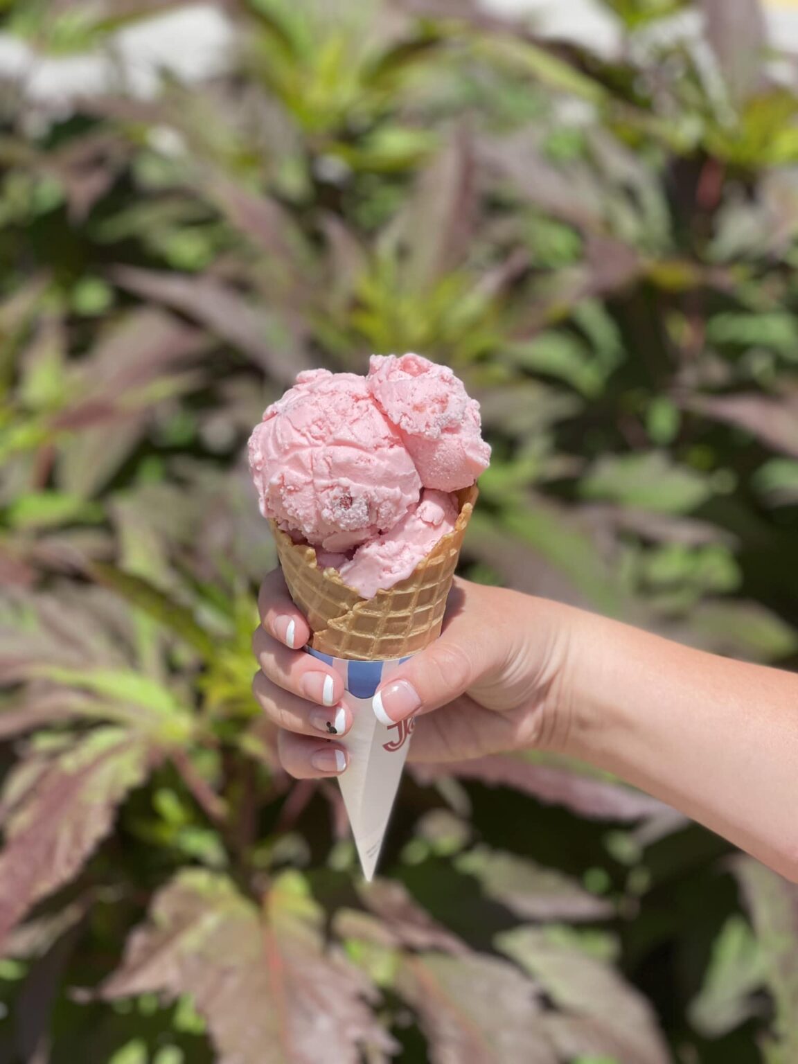 471163224 1162866165400650 8985318131291681990 n 1152x1536