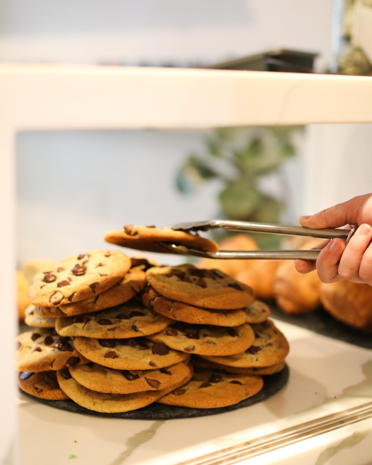 471301855 18343925248178504 205580520028068558 n 1229x1536