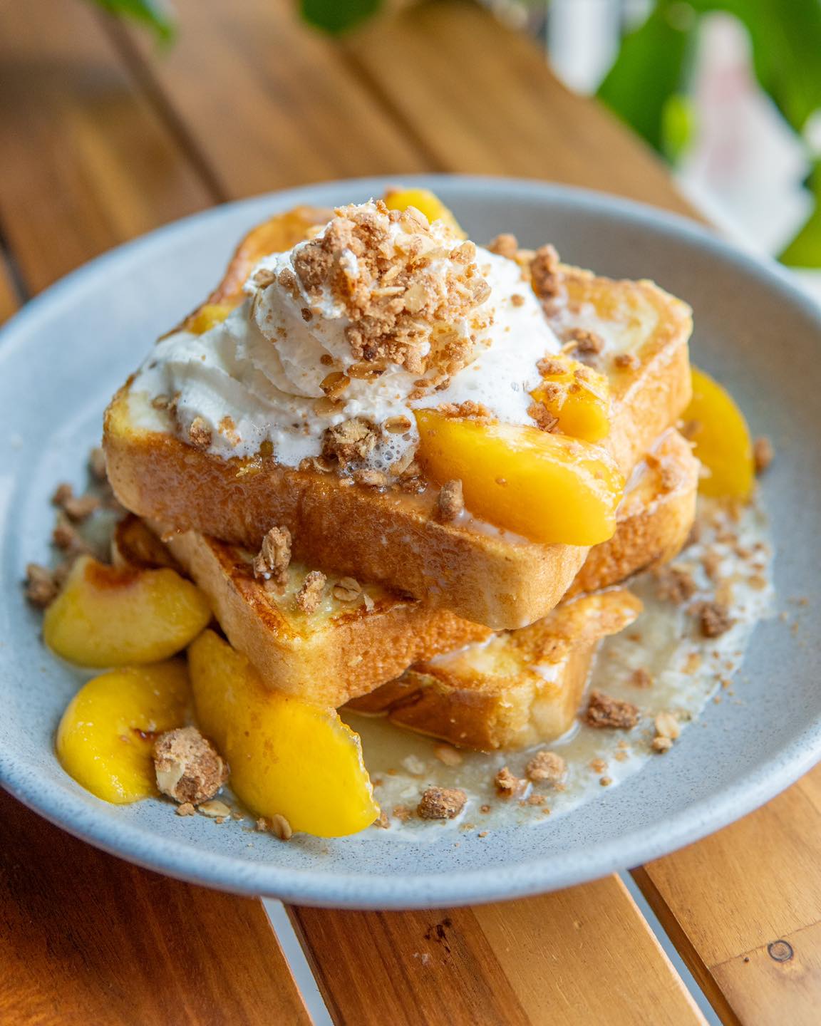 474746842 1036458868499023 7653912385951162832 n