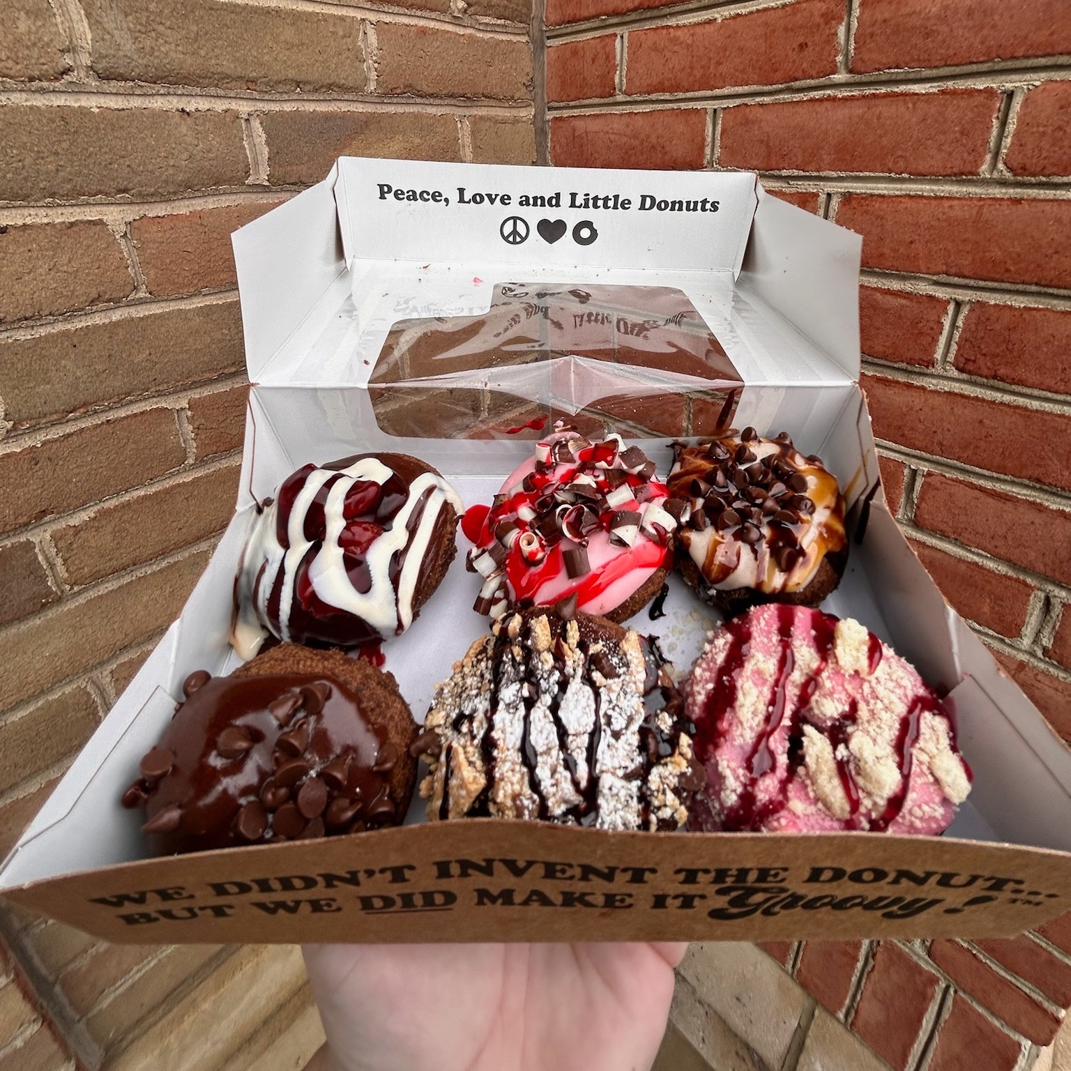 475960082 1237804041345800 7774270871338853413 n