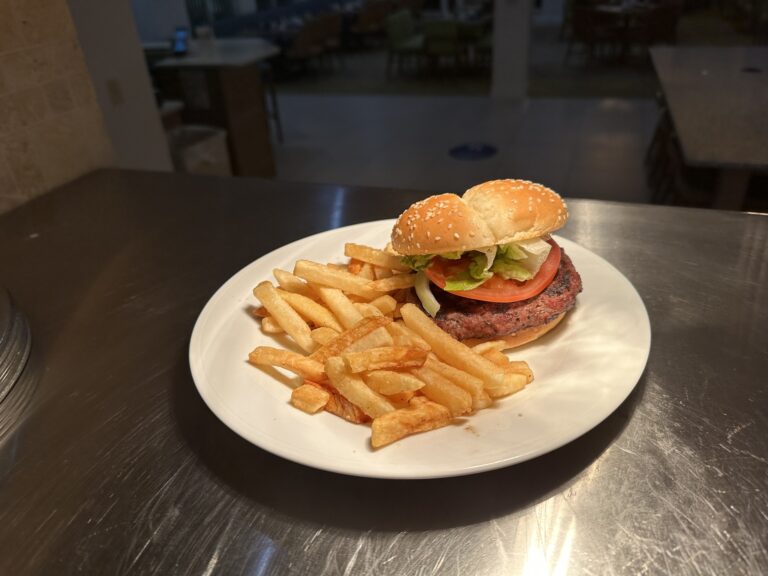 480813558 656818303658326 9046218805378878996 n 768x576