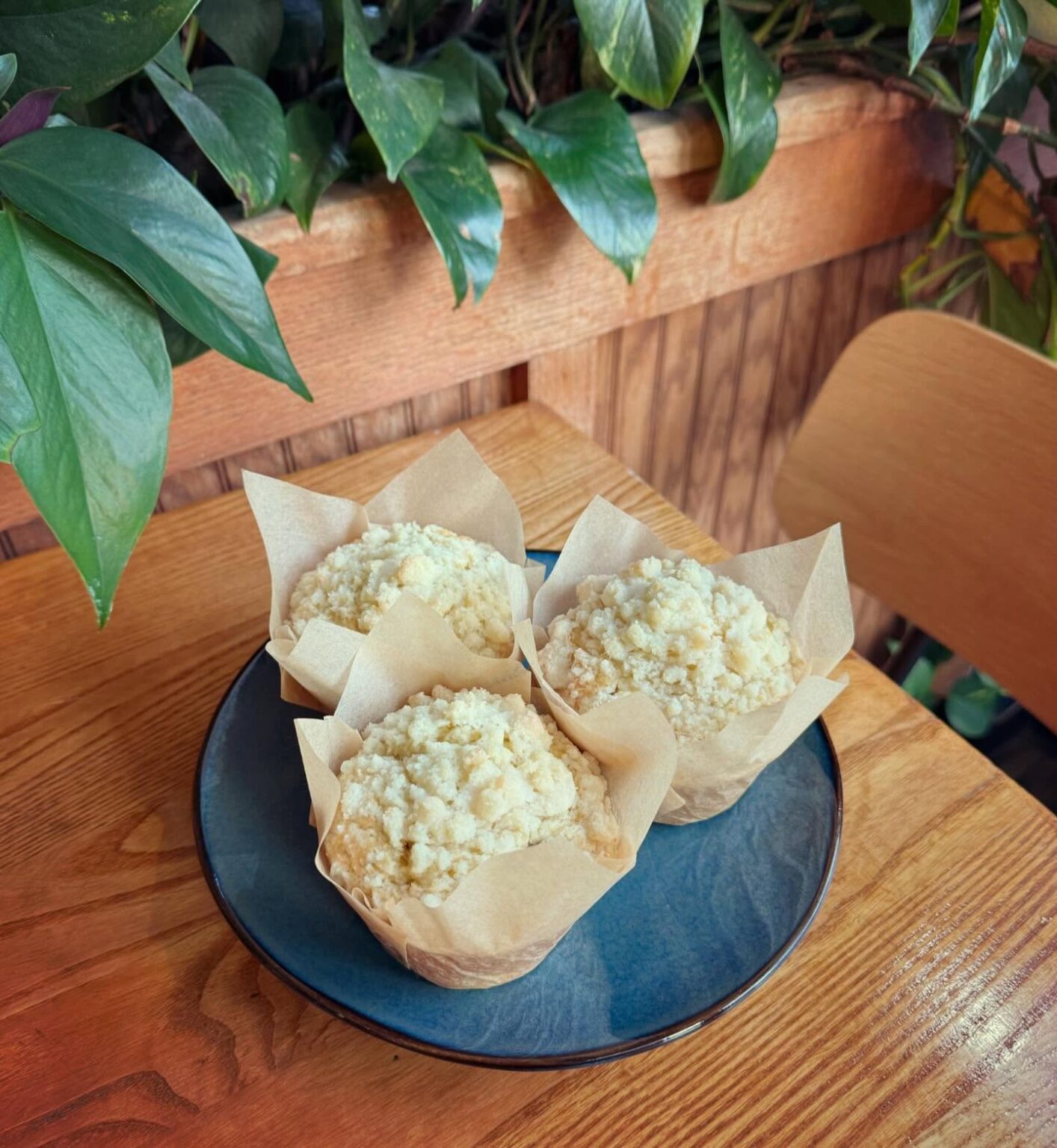 481848104 18464422528071662 8408908447822612165 n 1414x1536