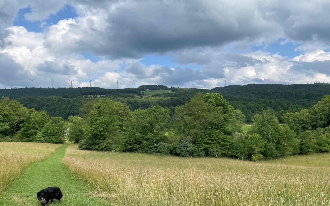 Explore Belington, West Virginia: Railroads, River Views, and Small-Town Serenity