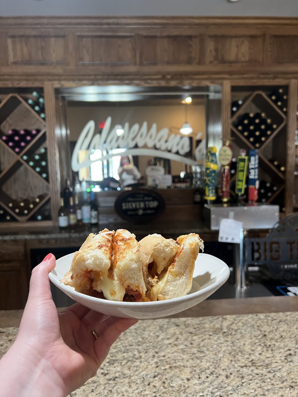 IMG 7217 1 1 1152x1536