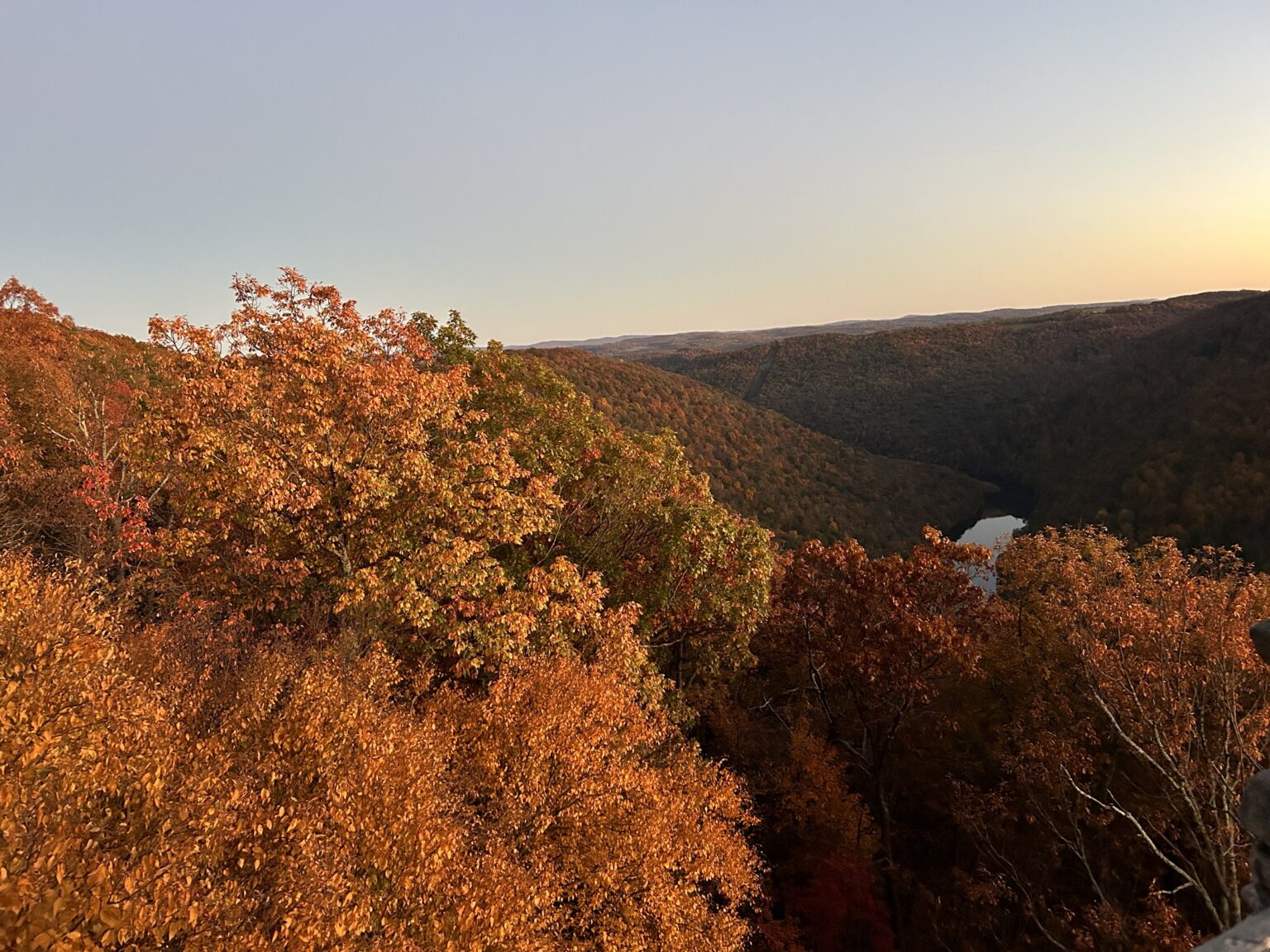 fall 1536x1152