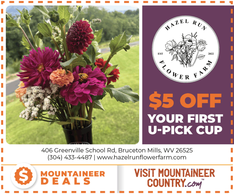 Hazel Run Flower Farm 768x638
