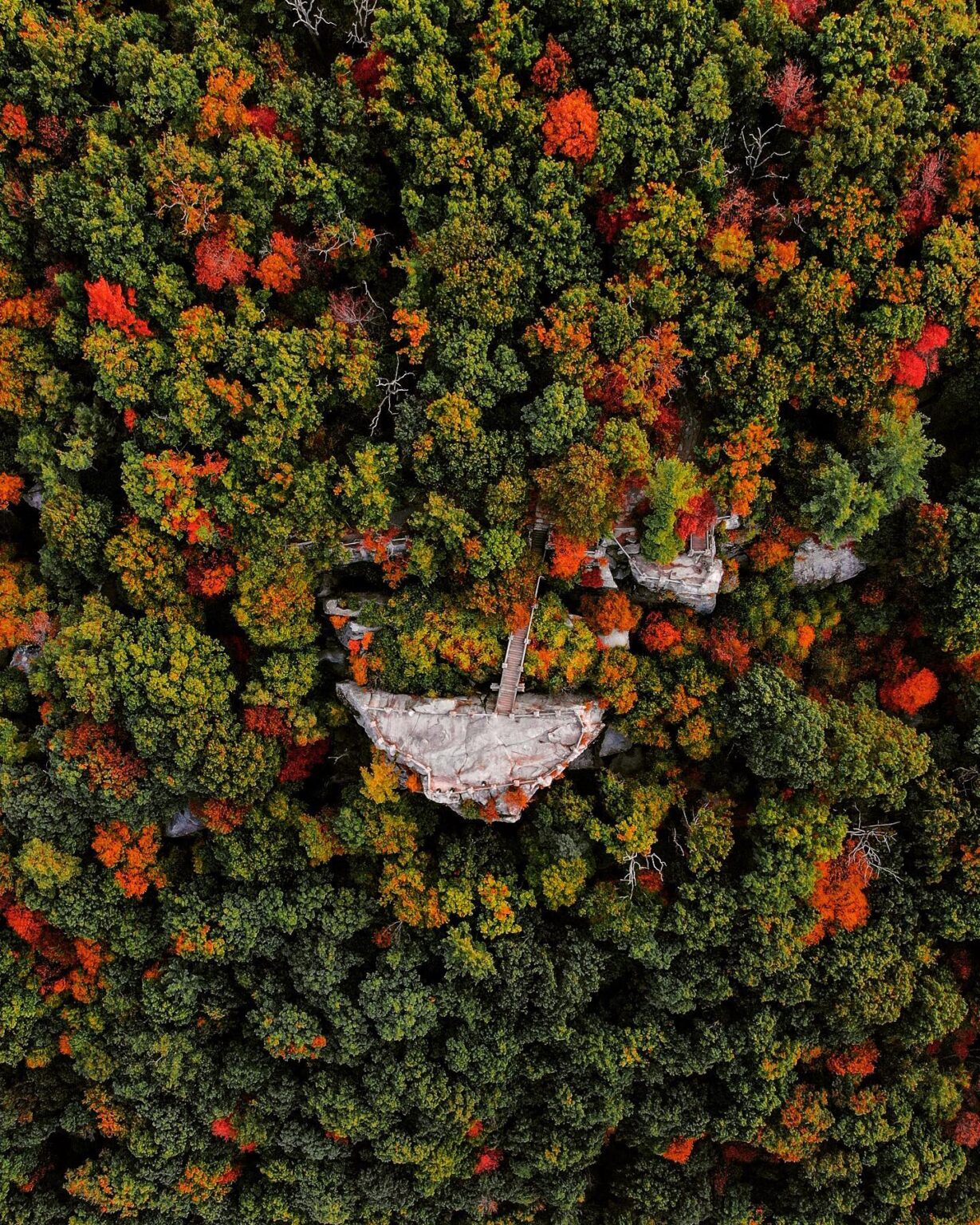 Coopers rock overhead fall 1 1229x1536