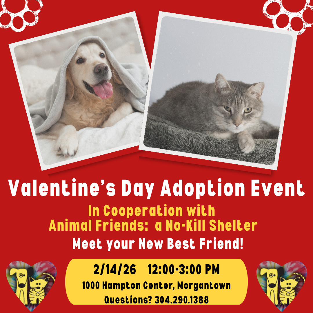 pet flyer