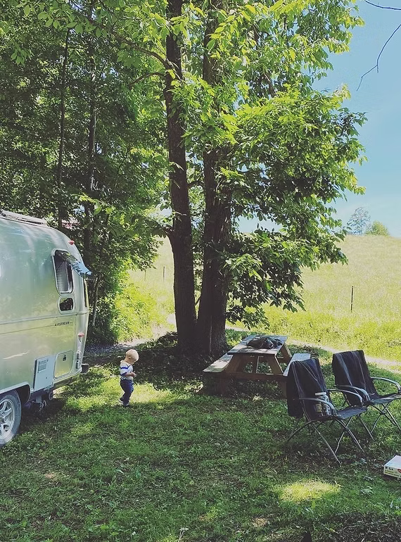 camping with bison