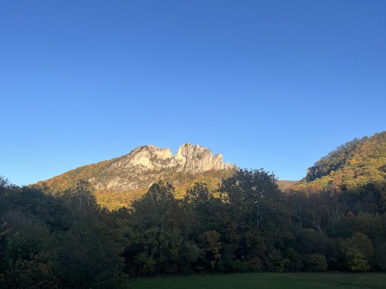 IMG 9159 768x576