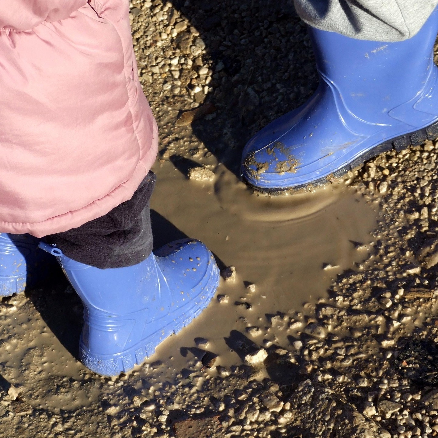 The Magic of Mud West Virginia Botanic Gardens