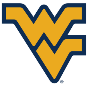 Flying WV Gold w Blue 310x310 310x291 1 300x282