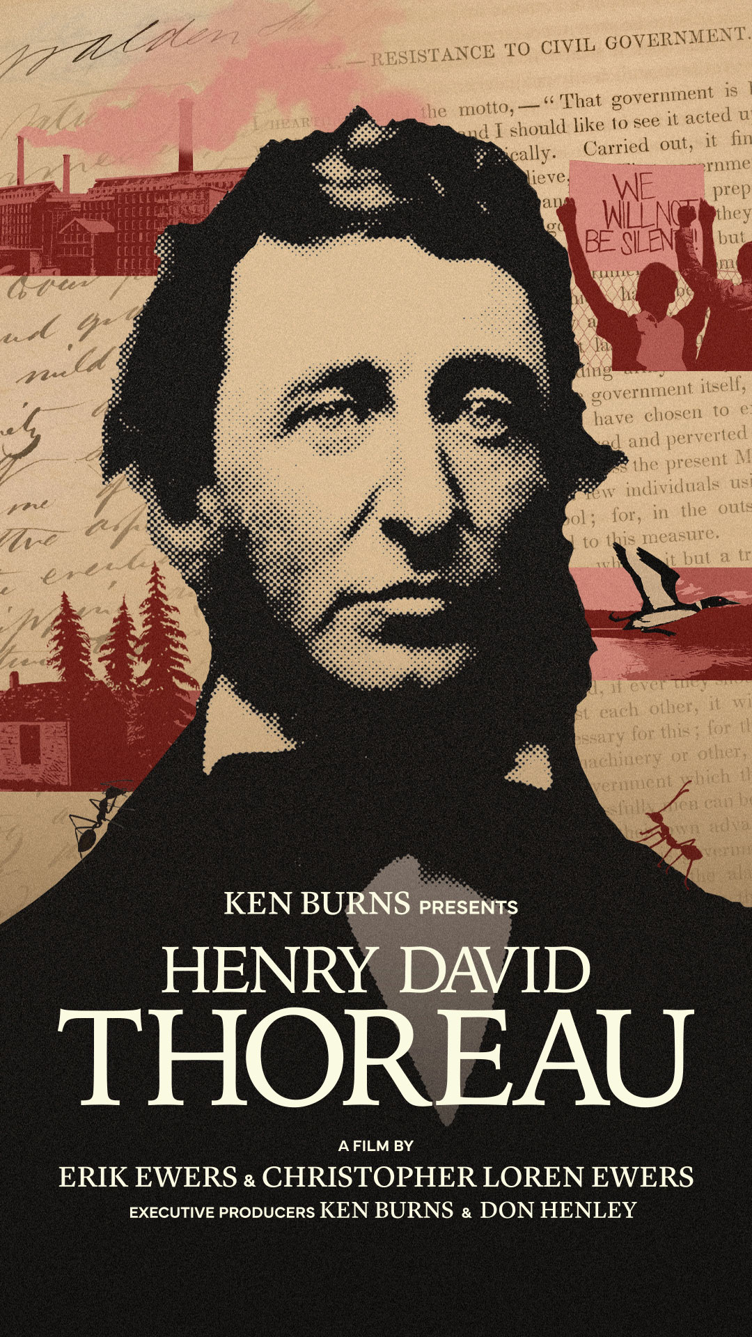 HDT_web-image