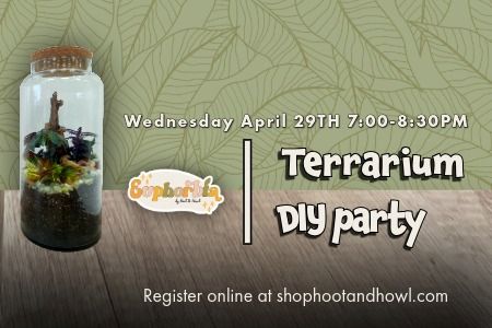 Terrarium DIY Party Hoot and Howl