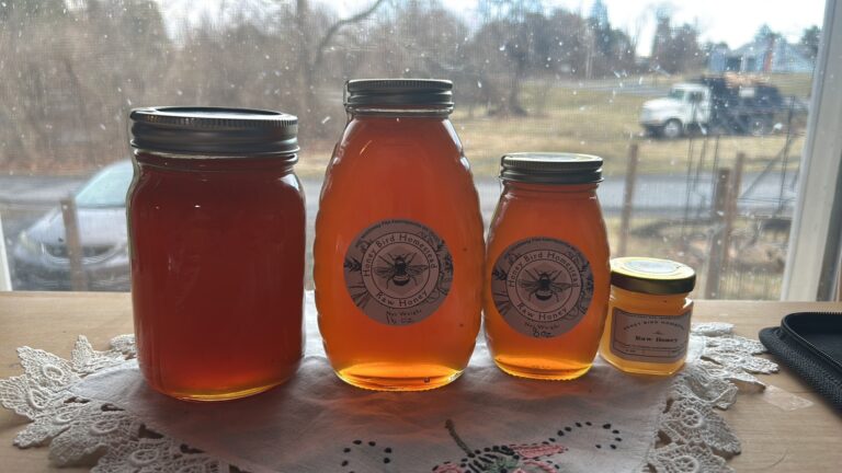 honeybired 768x432