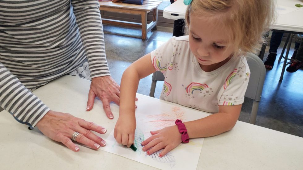 West Virginia Botanic Garden Friday Family Walk and Craft