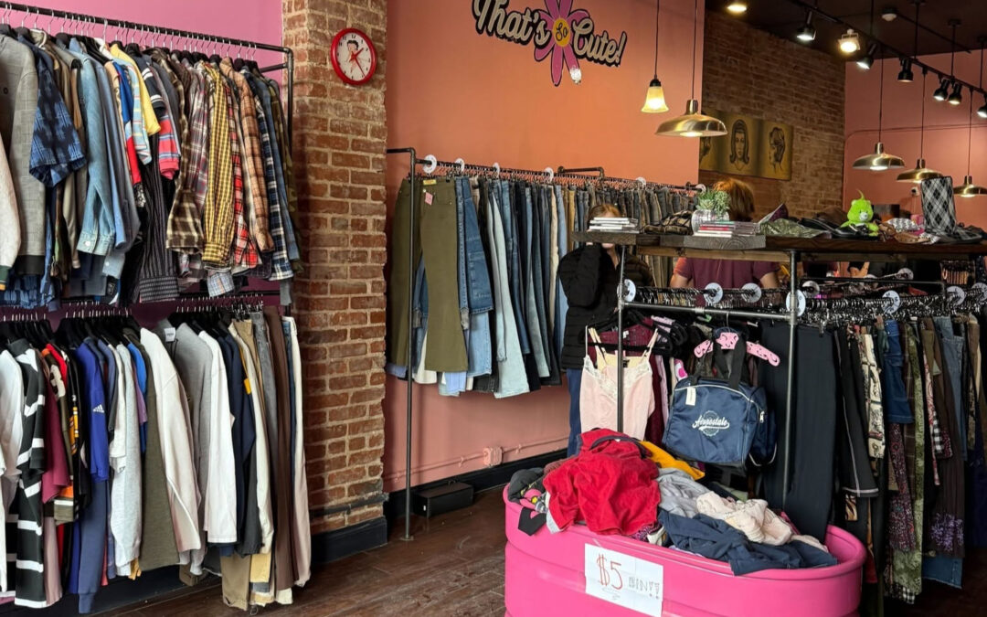 Best Thrift & Antique Stores in Greater Morgantown, WV
