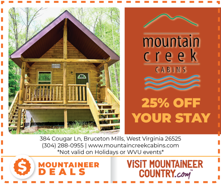 Mountain Creek Cabins 1 768x638