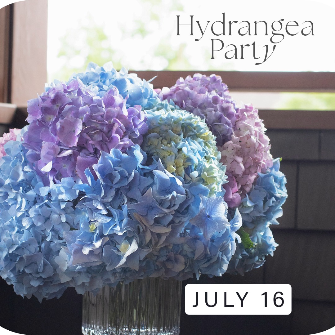 hydrangreaparty_square