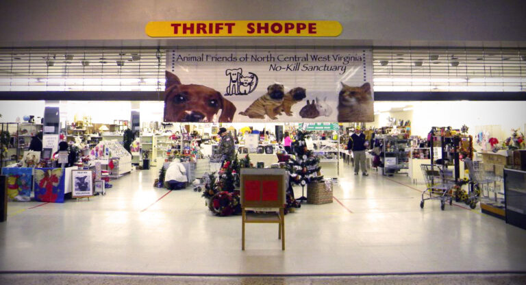 thrift shoppe 1 768x416
