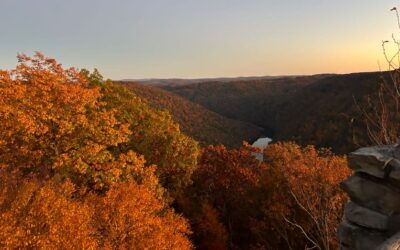 Top Spots for Leaf Peeping in Mountaineer Country