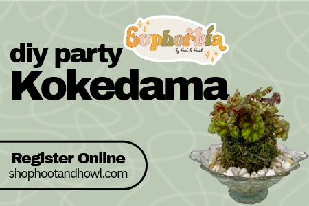 Kokedama-Workshop-4-facebook